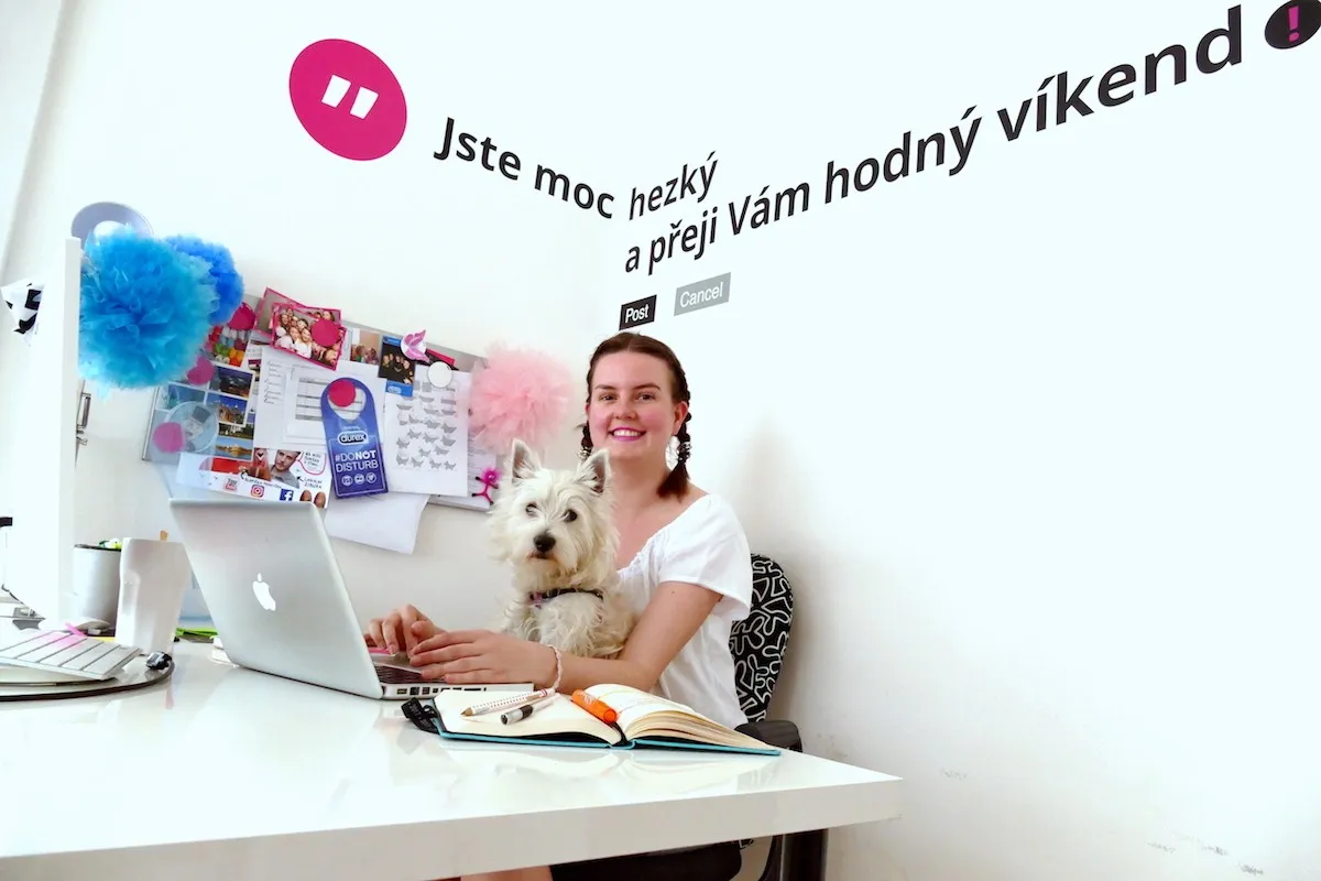 Adison team member working at a laptop with a dog in a bright office